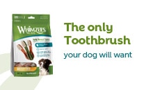 Whimzees Toothbrush